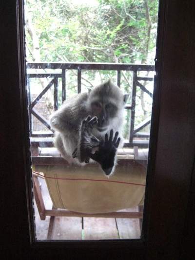 Best of Thailand 2008 - Part 3