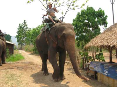 Chiang Mai & Hill Trekking