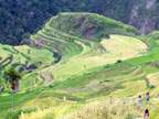The Rice Terraces of Batad