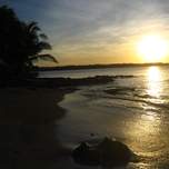 IMG_1574.jpg