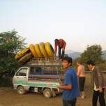 IMG_2812.JPG