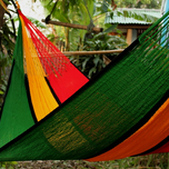 Original Rasta.png