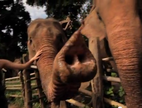 25 Days in Laos, Thailand & Cambodia