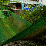 Shades of Green.png