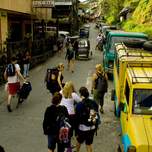 _MG_8262.jpg