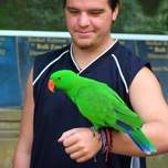 adamparrot.JPG