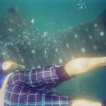 cee-diving-beside.jpg