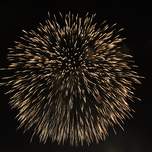 firework1.jpg