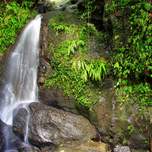 paradisefalls.jpg