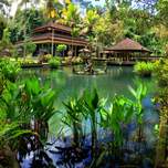 watertemplepano.jpg