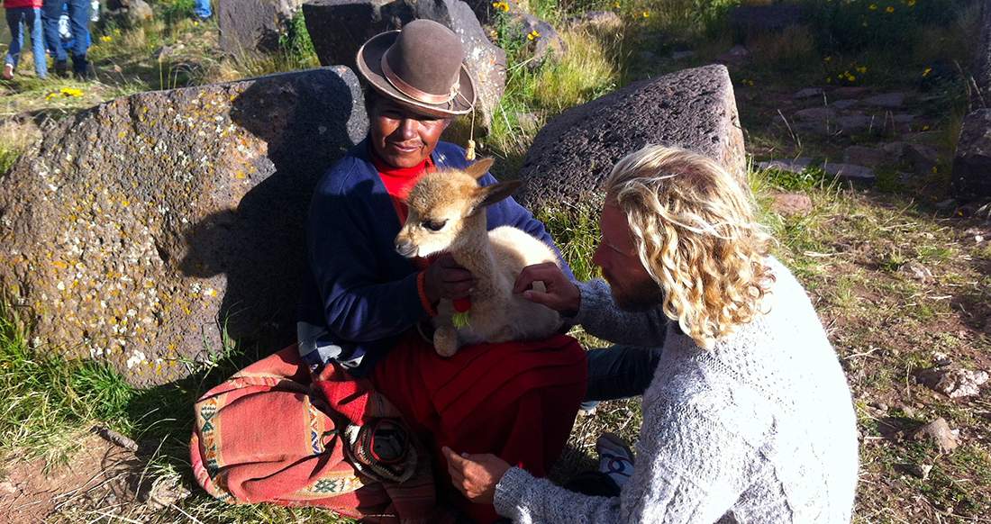 Llama Peru A man in a cozy sweater pets a baby llama that sits in the lap of a local man