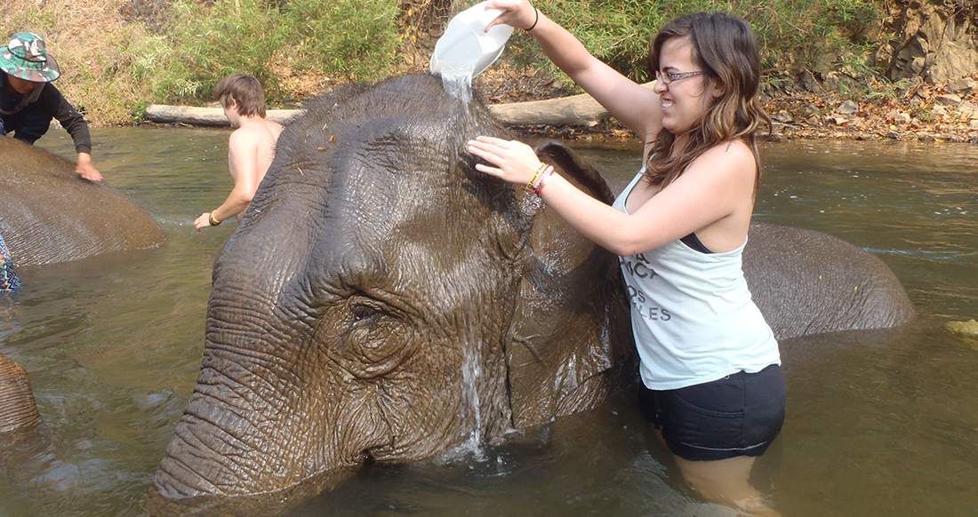 girl washing elephant north thailand volunteer