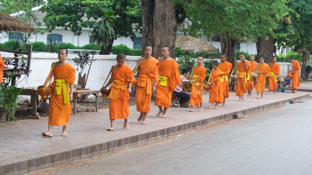 Morning Monks monks in laos heading out for their morning ritual