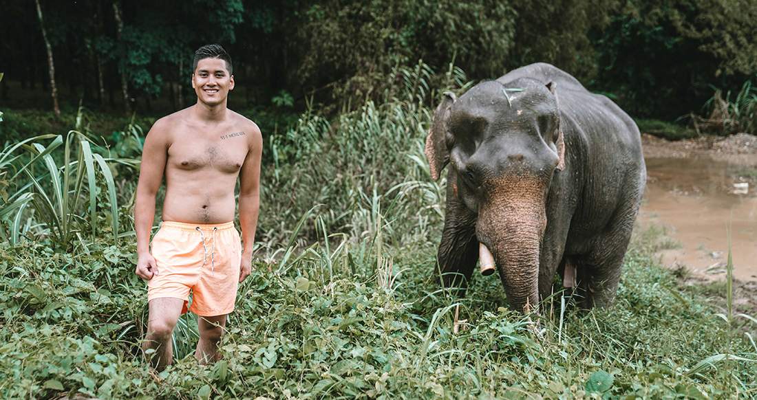 Elephant A traveler and an elephant in the jungle