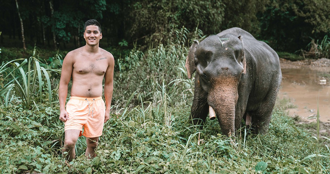 Elephant A traveler and an elephant in the jungle