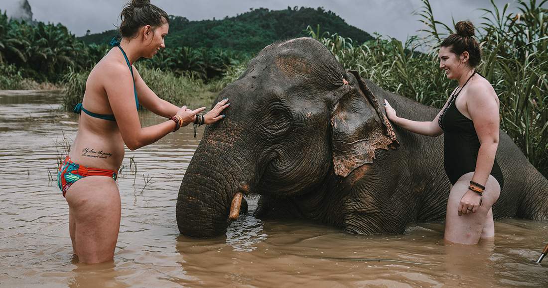 Elephant in Thailand Two girls and an elephant in a river in Thailand