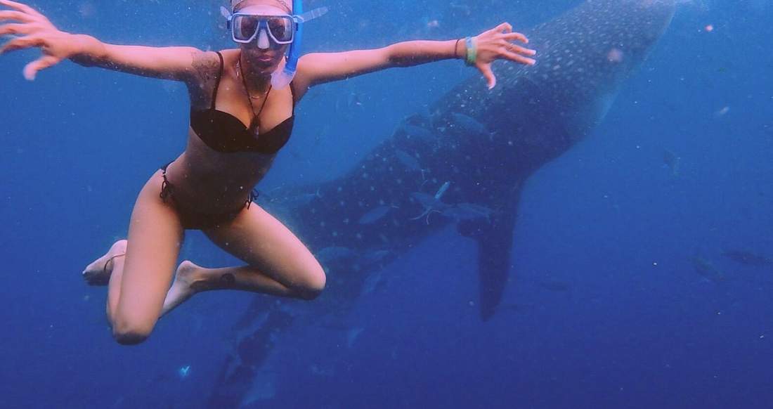 Swimming with whale sharks in the Philippines A girl swimming with whale sharks in Donsol Philippines