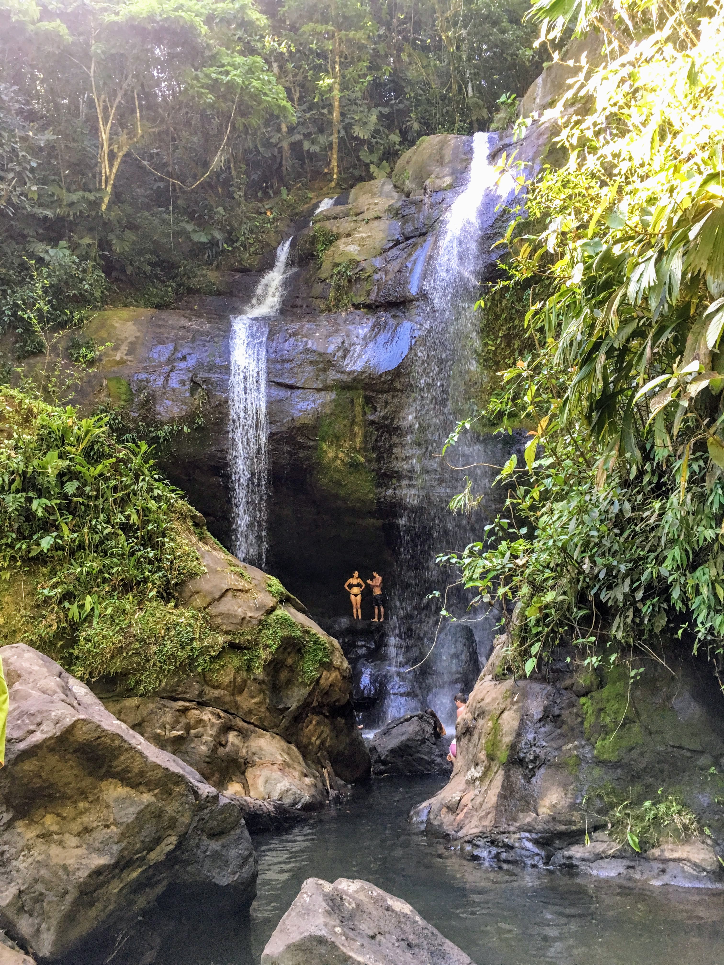 Waterfall in the Costa Rica cloud forest