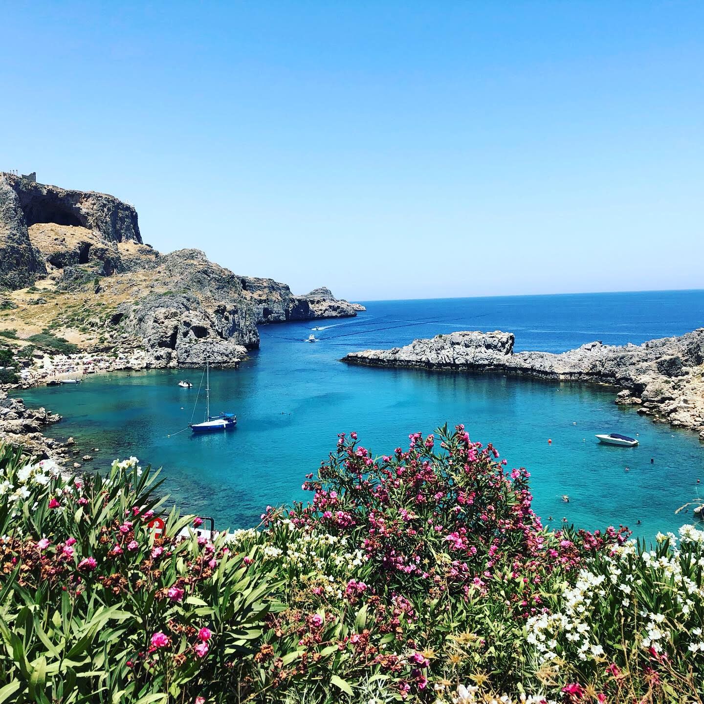 Turquoise bay with flowers, Rhodes, Greece