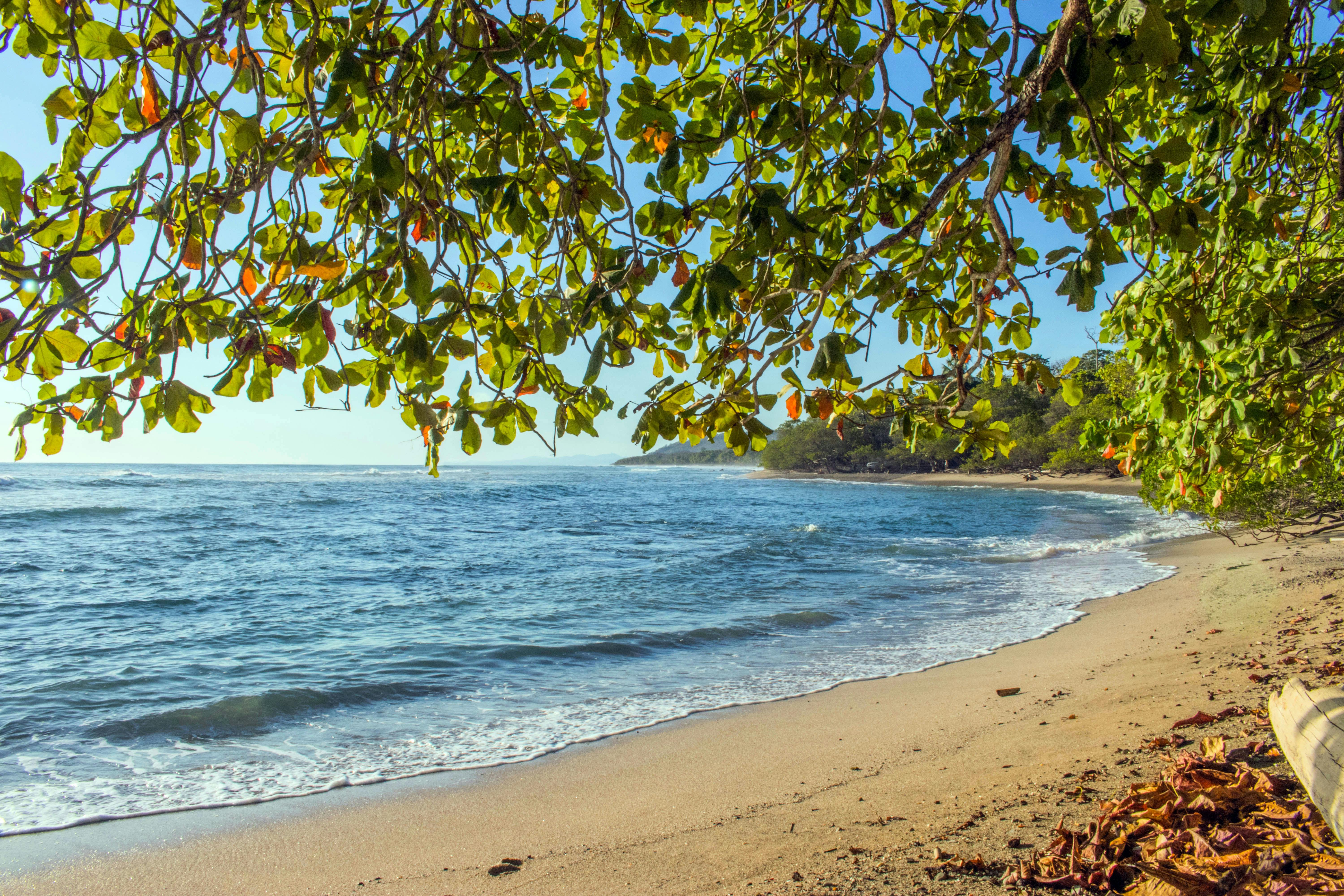 Santa Teresa beach, Costa Rica