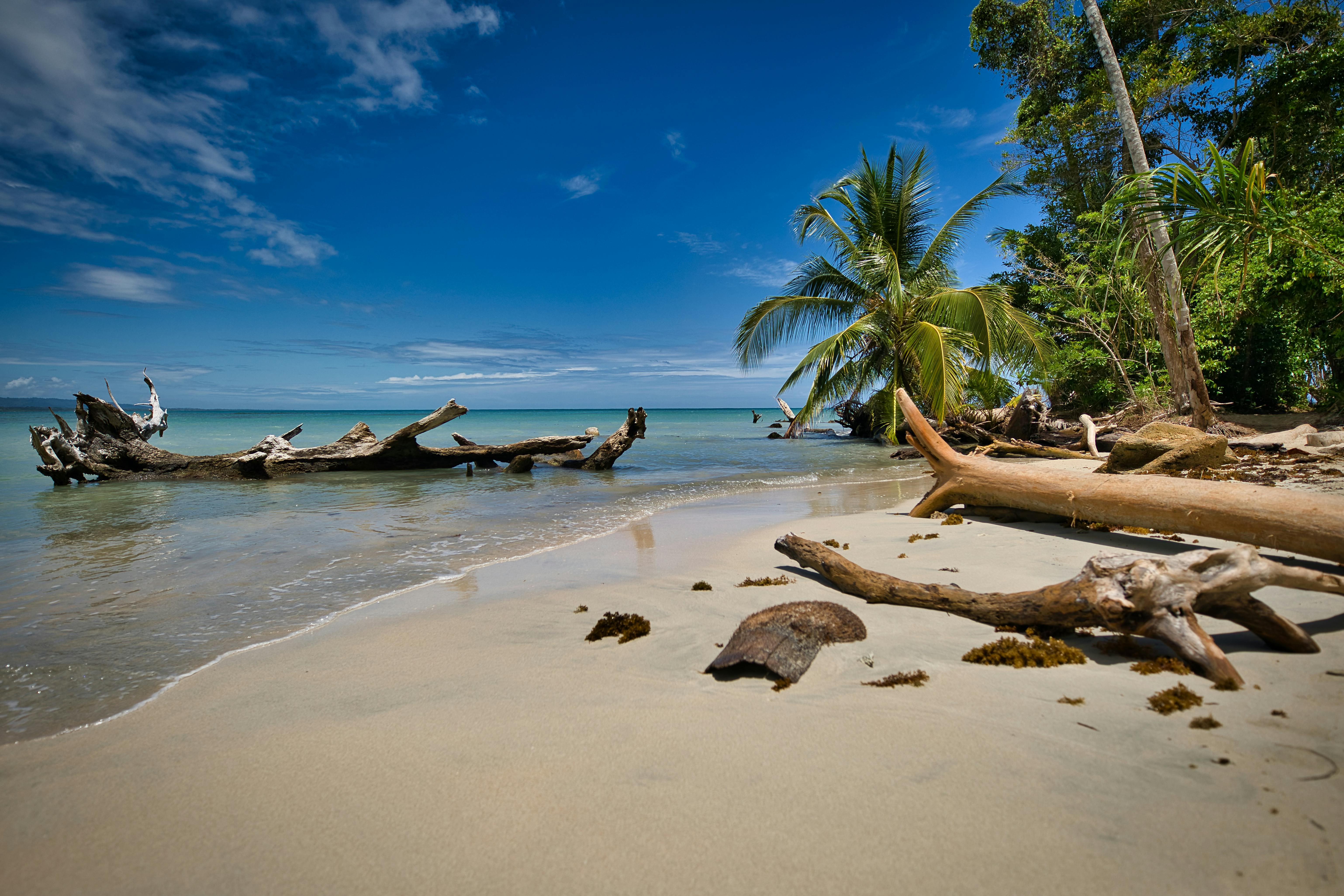 Puerto Viejo, Caribbean coast, Costa Rica