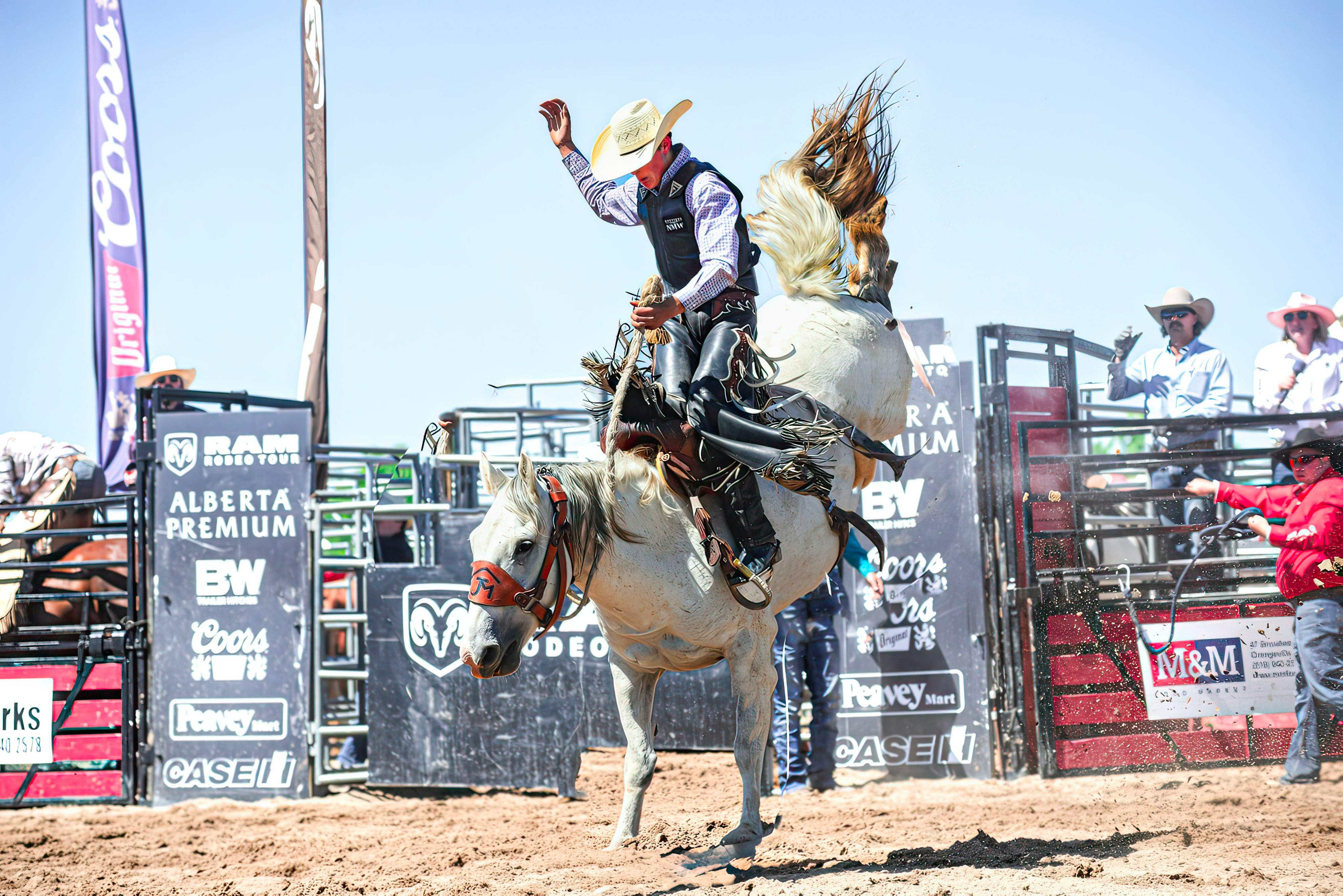 Calgary Stampede cowboy