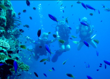 Balicasig Island, Visayas, Philippines