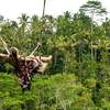 Bali Trip: 8 Days